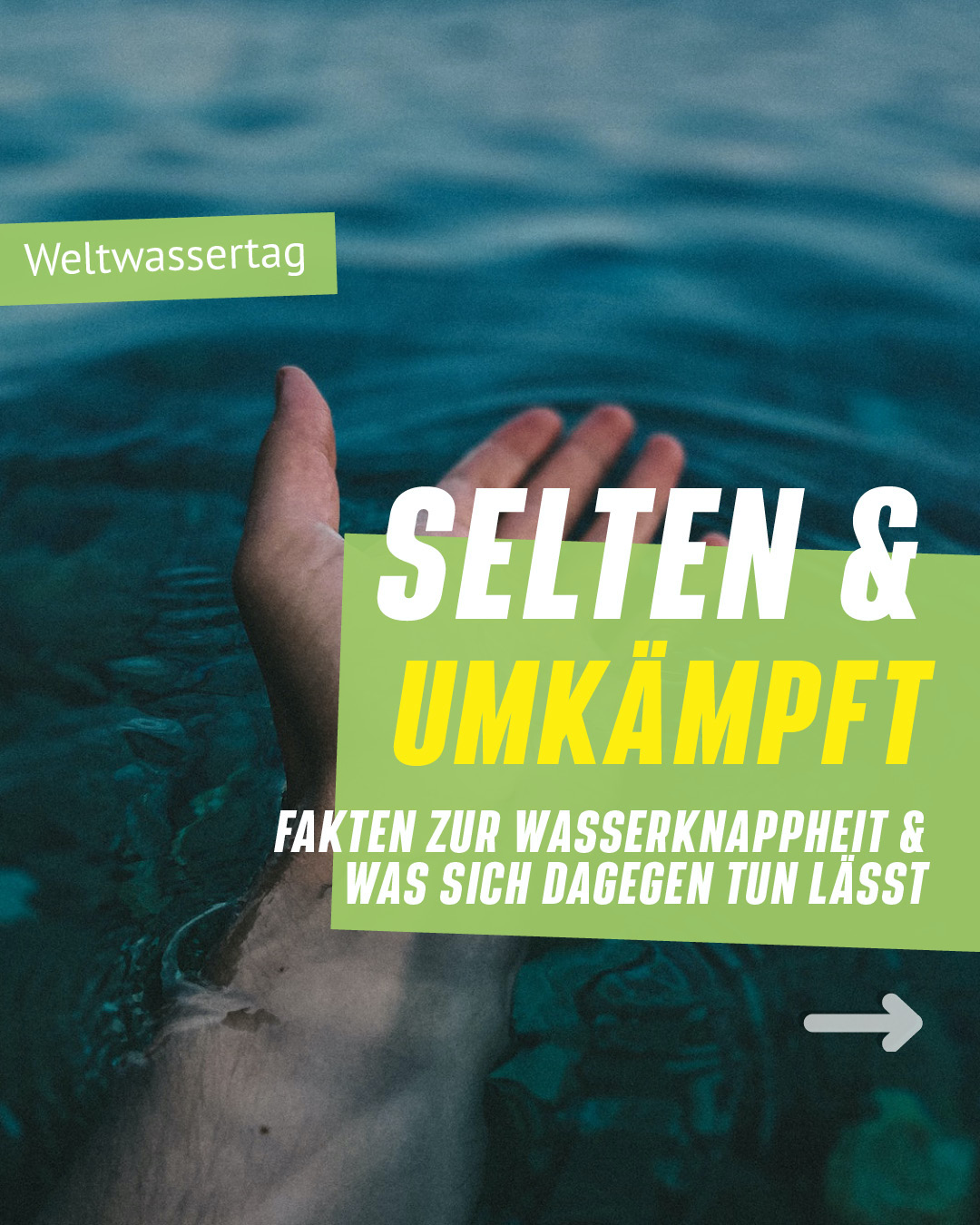 Weltwassertag 2022 "Unser Grundwasser: der unsichtbare Schatz"