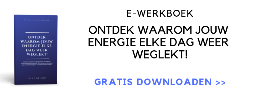 E-Werkboek Ontdek waarom jouw energie elke dag weer weglekt!