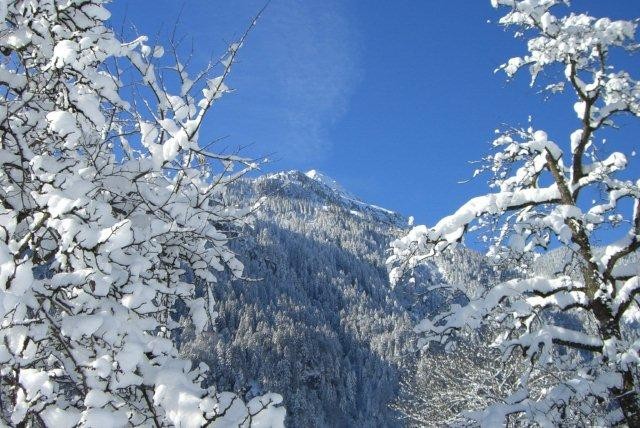 Wintertag