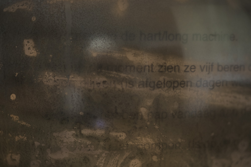 De foto en het verhaal