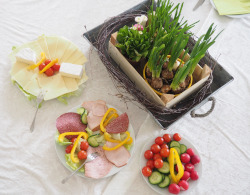 Frühlingsfrühstück mit Schale mit Fühlingsblühern, Wurstplatte, Käseplatte und Gemüse