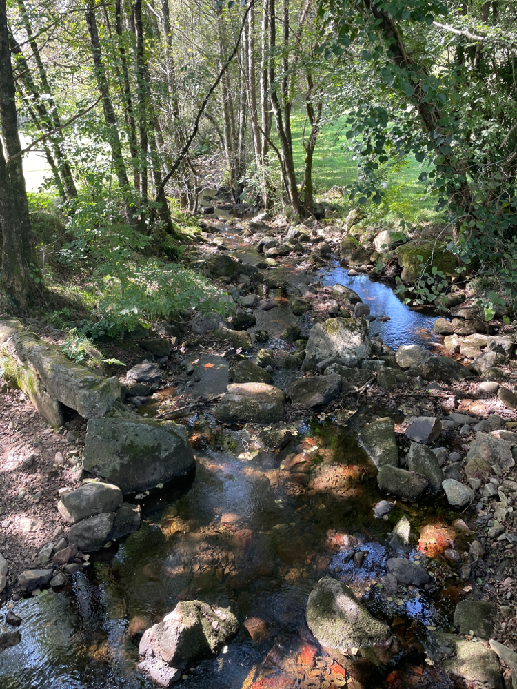 Alles kommt in Fluss
