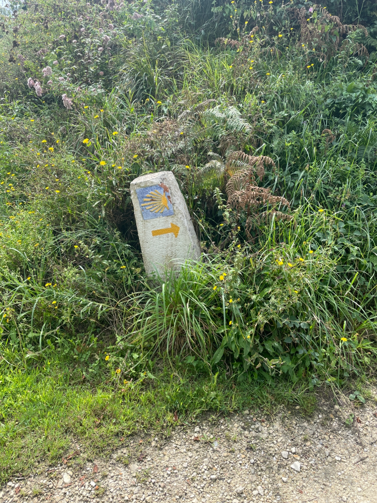 Der erste Camino-Wegweiser. Fühlt sich gut und vertraut an.
