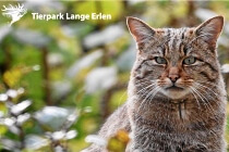 Tierpark Lange Erlen Basel