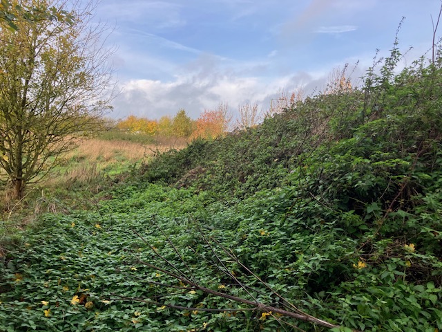 Site Investigation for Bund Material: From WAC Testing to Earthworks Design