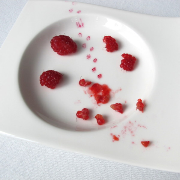 Beatrice Winkel - footprints on the plate