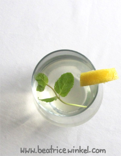 vegan elderflower lemonade with galgangal root