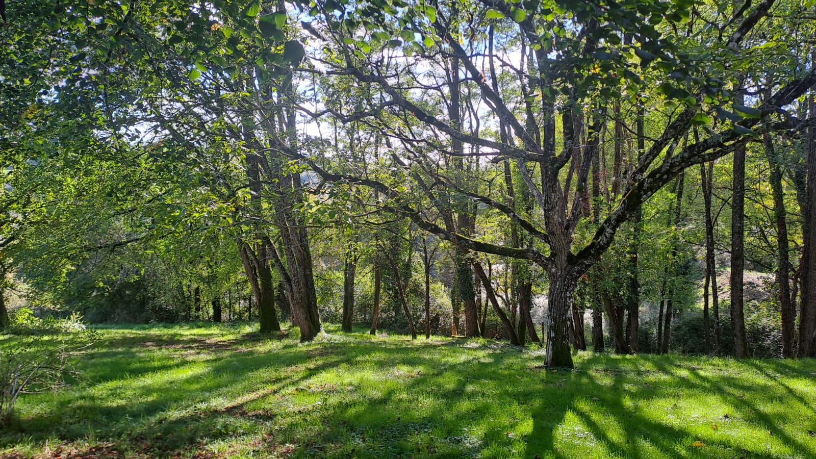 Jardin ressourçant