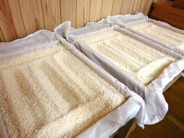 榮万寿 -sakaemasu- - 地酒のまるしん商店