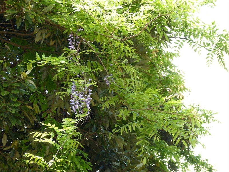 2013年5月1日