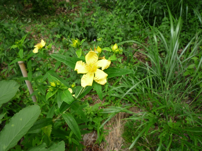 2012年6月23日