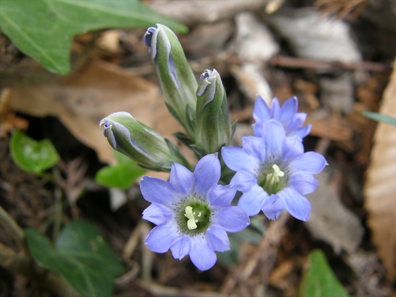 2009年4月12日