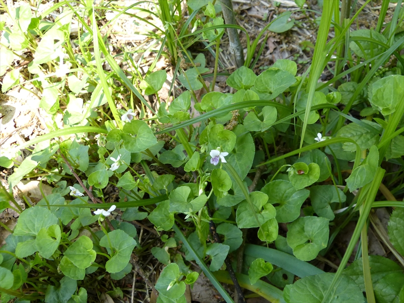 2012年4月7日