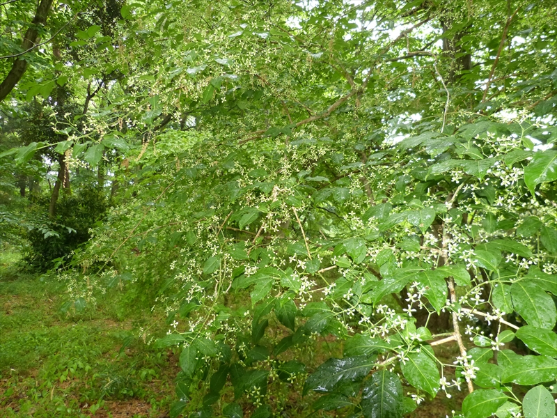 2013年5月11日