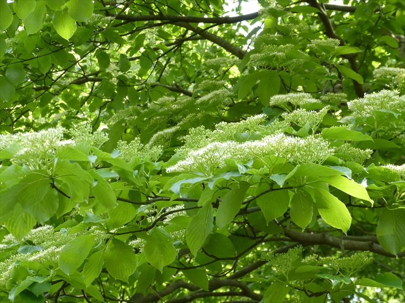 2013年5月1日