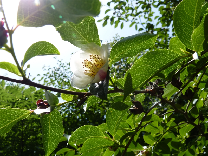2018年5月16日