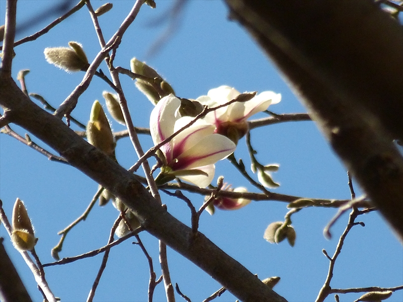 2018年3月17日