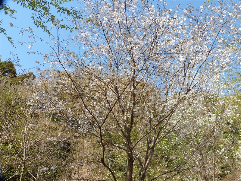 2019年4月4日