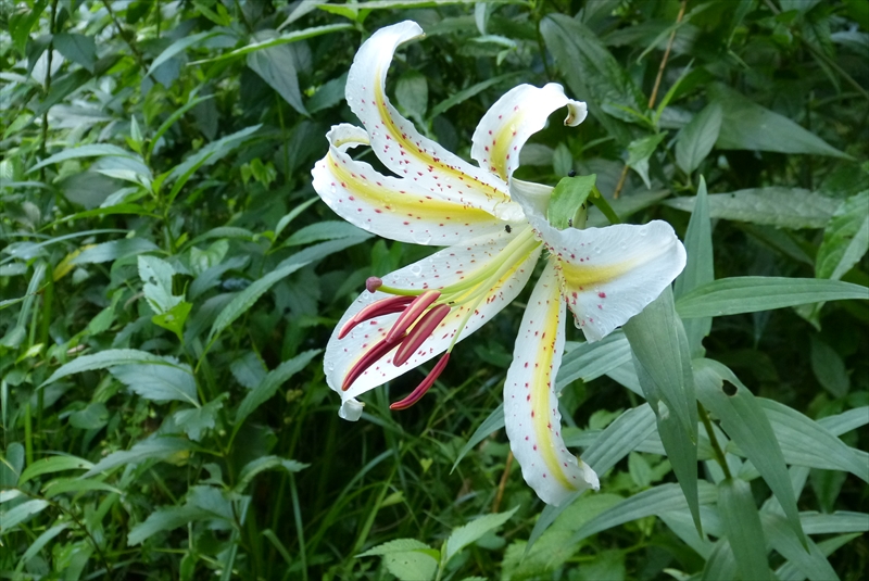 2014年7月12日