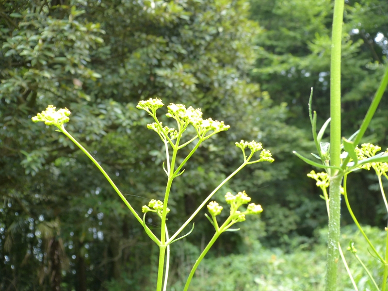 2012年7月28日
