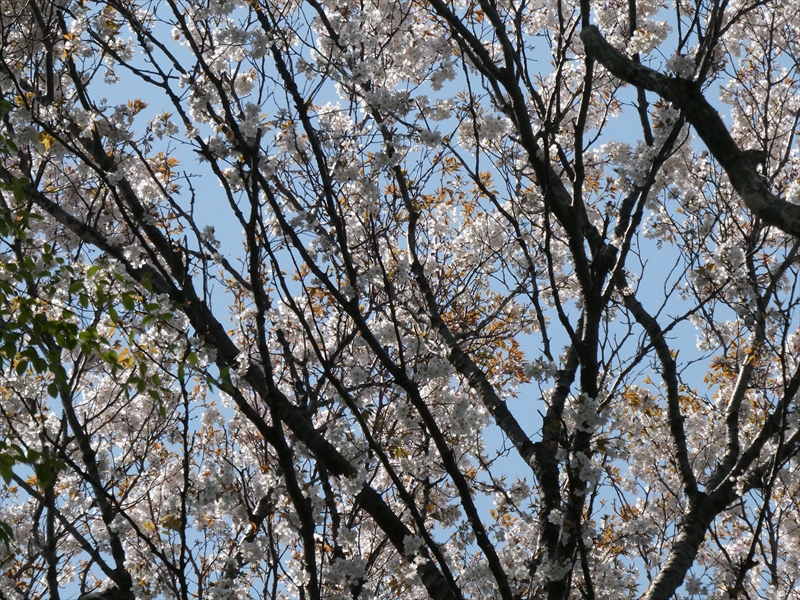 2020年4月4日