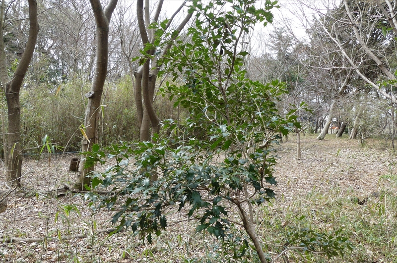 2025年3月24日