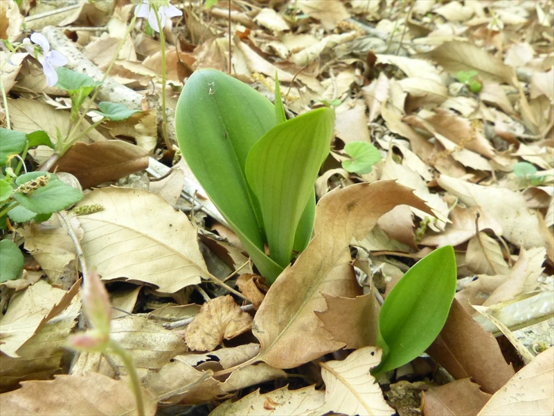 2018年4月8日