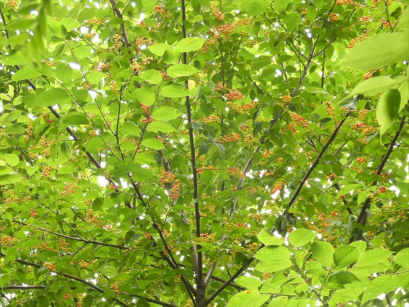 2019年7月13日