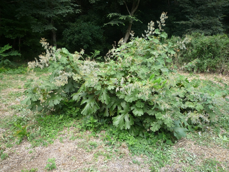 2010年8月21日