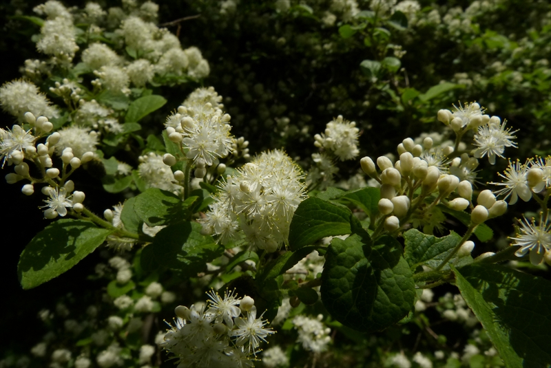 2015年5月1日