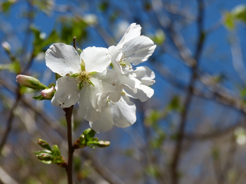 2019年3月24日