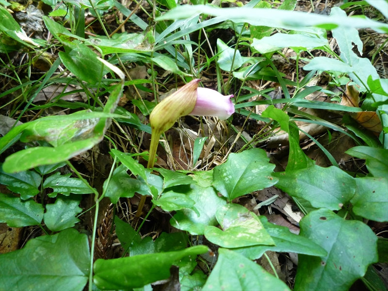 2011年9月10日