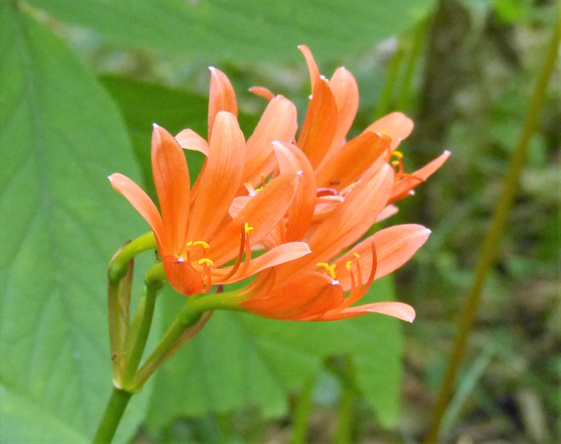 2019年8月17日