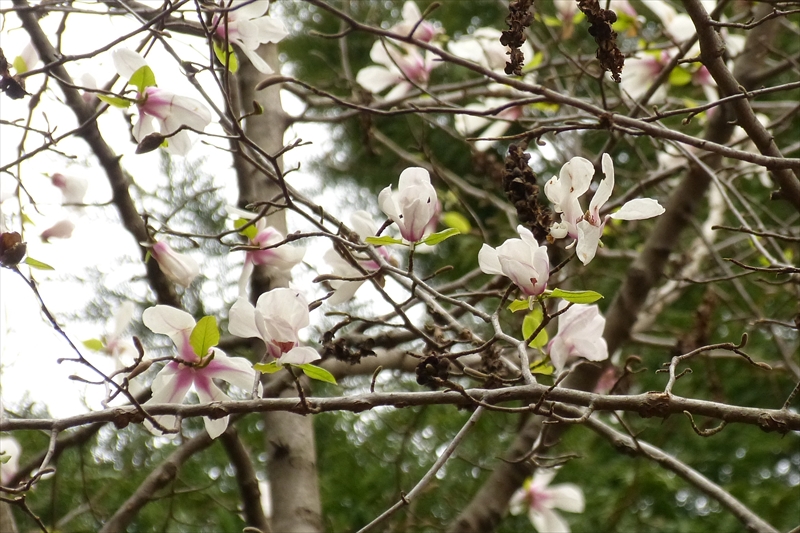 2016年4月2日
