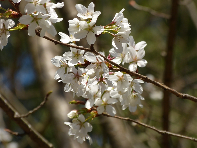 2019年4月4日