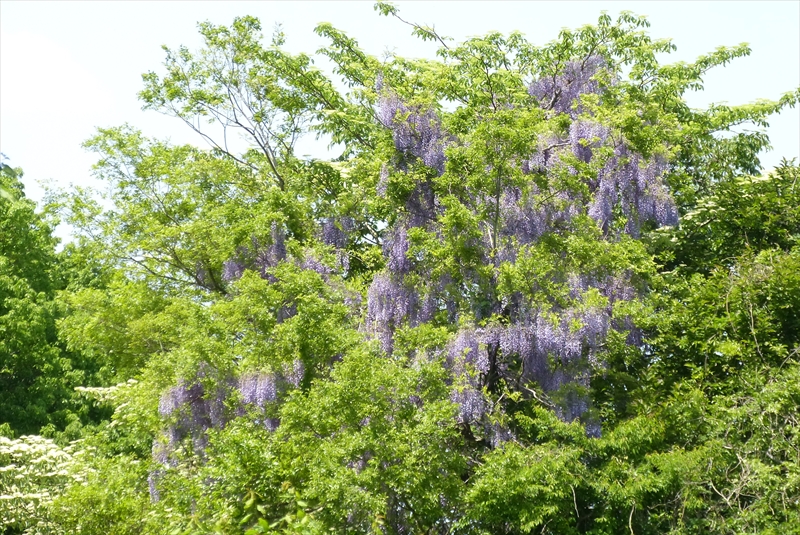 2015年5月1日
