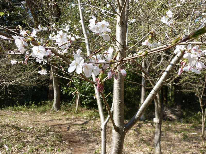 2019年4月4日