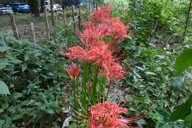 2014年9月20日