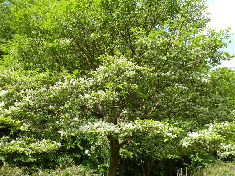 2013年5月1日