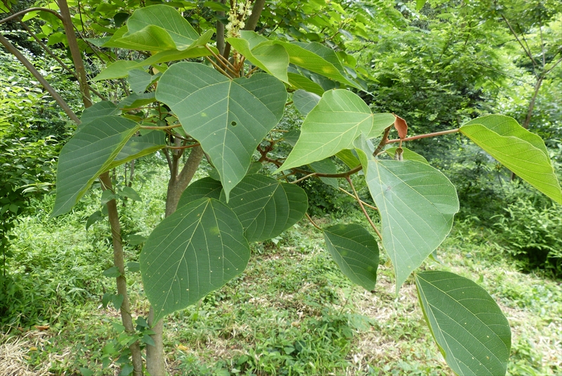 2014年6月21日