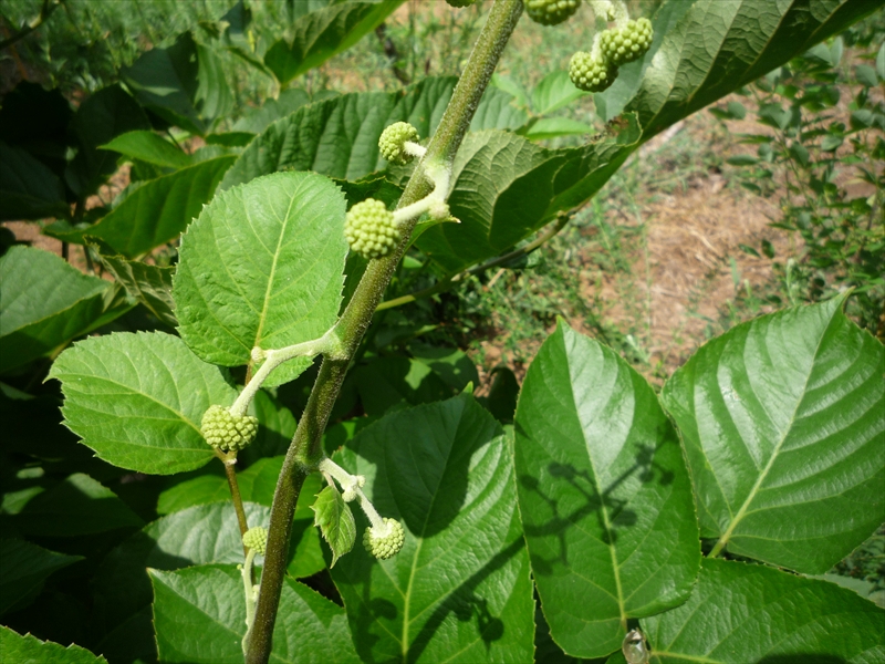 2010年8月21日