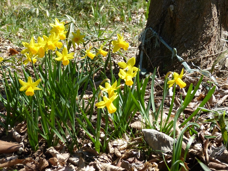 2018年3月25日