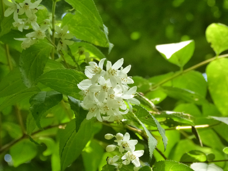 2018年5月16日