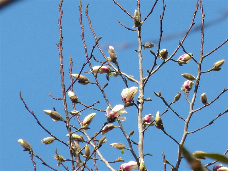 2018年3月17日