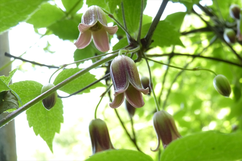 2015年5月8日
