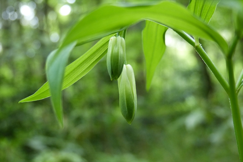 2014年4月26日