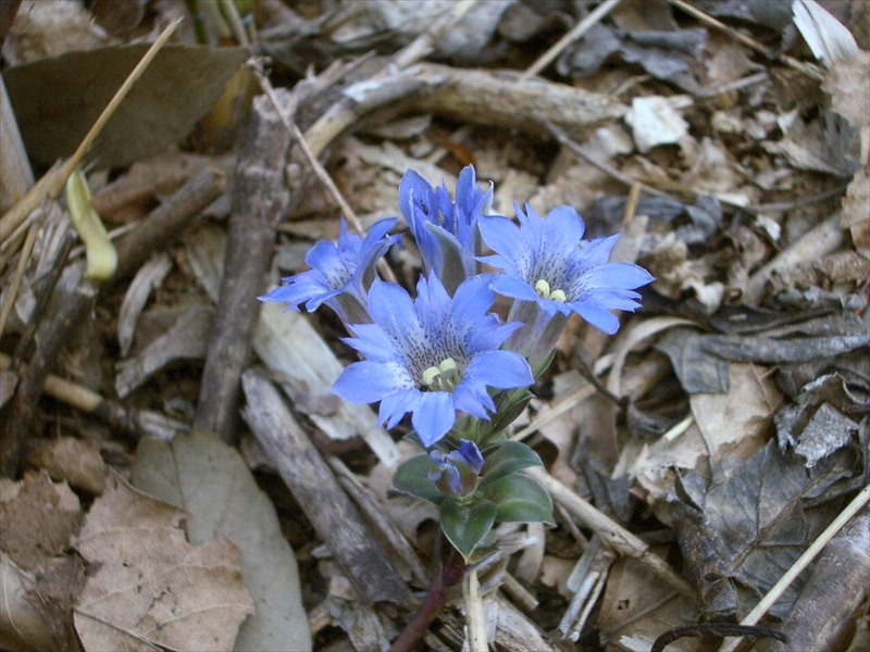 2007年4月21日