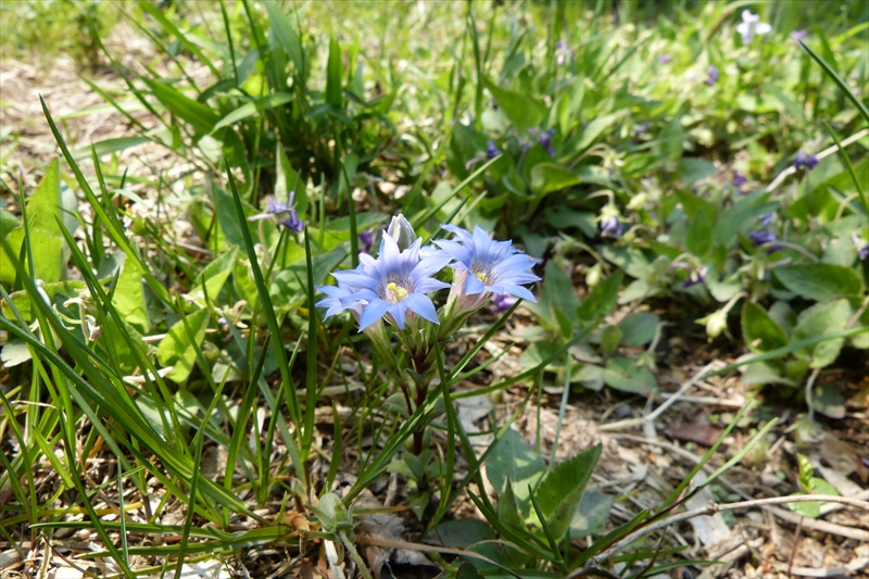 2014年4月26日