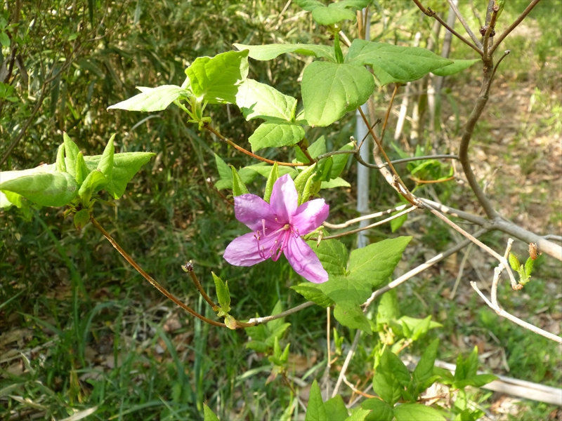 2019年4月20日