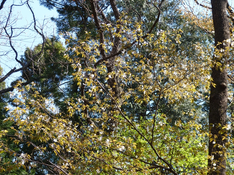 2019年4月4日